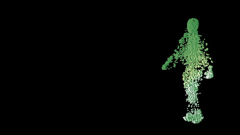 Voxel person